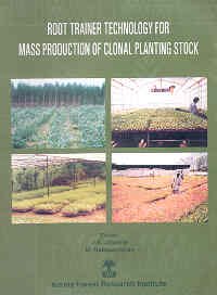 Root trainer technology for mass production of clonal planting stock