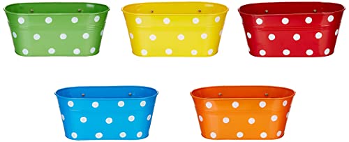 Amazon Brand - Solimo Metal Oval Shaped Planters with Hook (Set of 5)