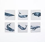 ideal para regalo Set 6 Posavasos Colección Ballenas de Ceramica de 100X100mm para Tazas, Vasos y decoración con diseño Único y Elegante