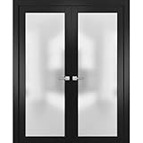 SARTODOORS Planum 2102 | Double Swing Interior French Doors with Glass with Frosted Glass, Solid Wood, Hardware Included, 48x80, Black, Modern