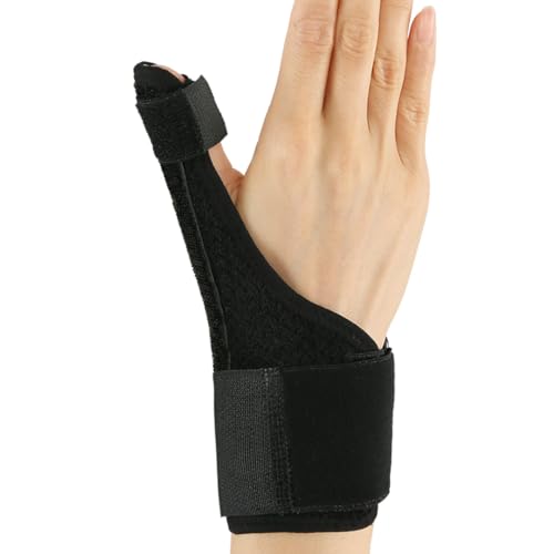 TCvX ewŒT|[^[ Œ ewt  ewT|[^[ {[ bVf ʋC t[TCY Ep K[h