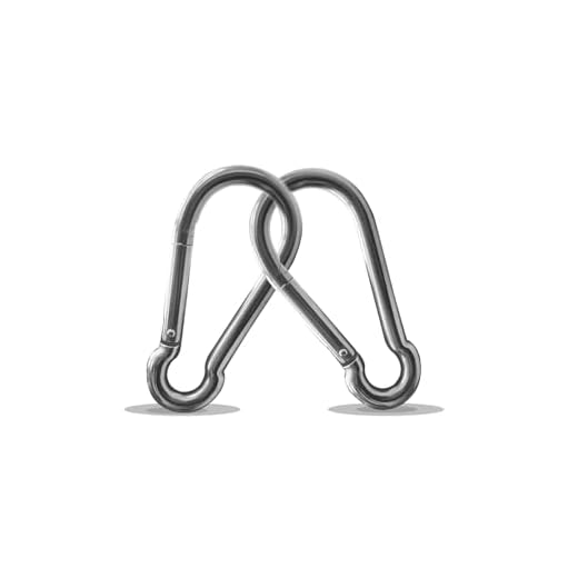 Large Carabiner Clip Hooks, 2pcs 4 inch Heavy Duty Carabiners, 304 Stainless Steel Spring Snap Hook, Heavy Duty Locking Clips for Climbing, Camping, Hiking, Gym Weight Lifting, Rope & Chain