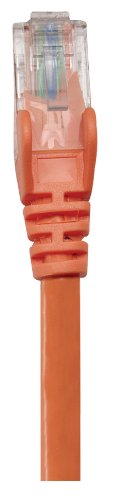 Cable Patch UTP Cat5e RJ-45 macho 15.24 m miniatura 3