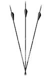 Carbon Express Maxima Sable RZ 400 Arrow, 6-Pack Fletched (51201), Black