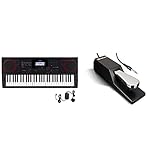 Product 1: A dual 15W amplification system delivers a smooth and dynamic sound that is simply unmatched by the competition Product 1: 800 Tones with user expansion and 260 Accompaniment styles with user expansion Product 1: 17 Track Recorder with 128...