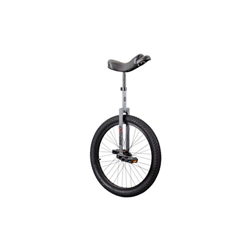 Cheapest Prices! Sun Bicycles Unicycle Sun 24In Extreme 2014 Grey