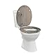 SINOBATH WC Sitz mit Absenkautomatik, viele schöne WC Sitze zur Auswahl, hochwertige und stabile Qualität aus Holz (Altes holz)
