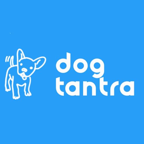 Episode 1: Choosing the perfect dog breed