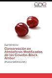 conserva de ciruela criolla  Conservación en Atmósferas Modificadas de las Ciruelas Black Amber: (Prunus Salicina Lindl.)