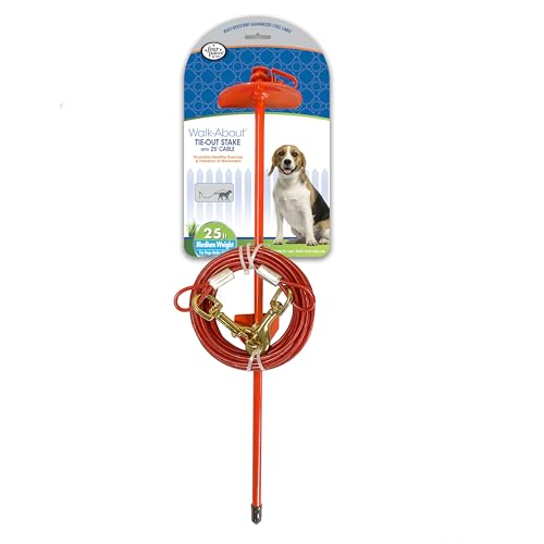 Piquet Quatre Paws Pet dfp90300 Roam About anti-entortillement pour jardin