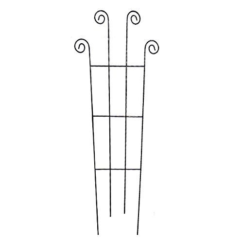 Metal Scroll Design Garden Plant Trellis,36-Inch