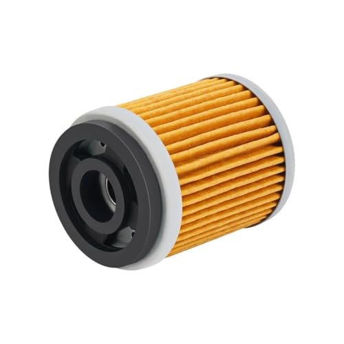 Filtro de aceite de moto para AG200, BW200, BW350 y SR125SE 2