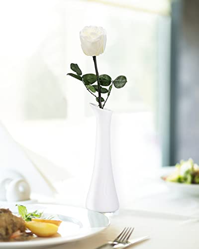 Image of White Flowers for Delivery Prime, Preserved White Roses Flower Gifts for Women, Real Roses Single Rose Gifts for Her, Mom Birthday Gifts from Daughter, Valentines Flowers