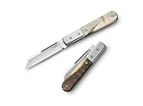 LionSteel