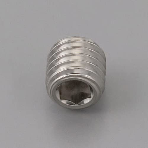 エスコ 六角穴付止ネジ M10x20mm EA949MR-1020F