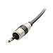 Cable Matters Toslink to Mini Toslink Cable - 10 Feet