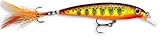 Hot Mustard Muddler Rapala X-Rap 08 Fishing lure, 3.125-Inch, Hot Mustard Muddler by Rapala