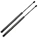 Partsam 2 Pcs Rear Liftgate Hatch Lift Supports Struts Shocks For 2001-2006 Hyundai Santa