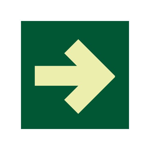 Astlight SAL5030.GFI Señal de flecha auxiliar fotoluminiscente, Multicolor