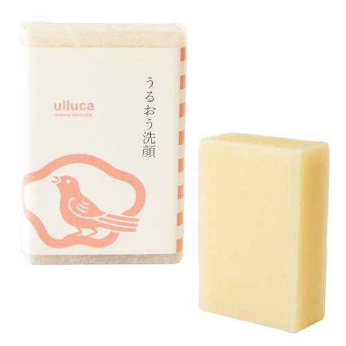 ulluca 邨 1 100gyΌ Y t[ A} q ₳ Ō` R[hvZXz