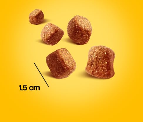 Pedigree Tasty Minis Leckerbissen mit Hühnchengeschmack für Hunde (6 x 130g)