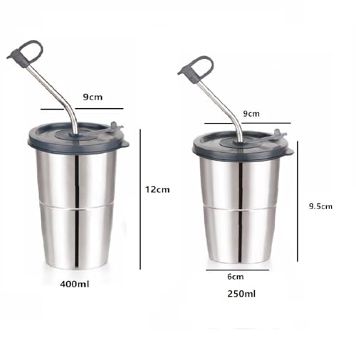 Image of Stainless Steel Fusion Glass Tumbler with Stainless Steel Metal Straws and Cleaning Brush with Lid (LD SIP 250+400ML)