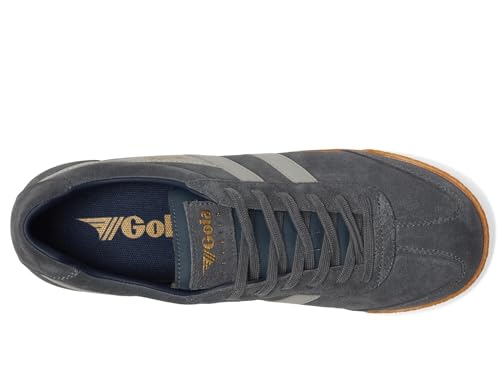 Image of Gola Harrier