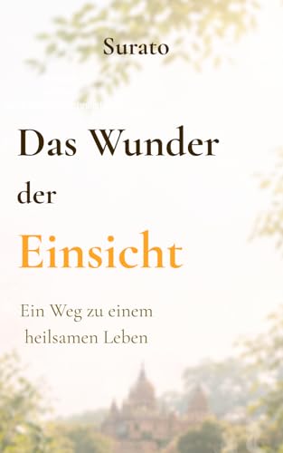 Das Wunder der Einsicht: Ein Weg, das eigene Leben in eine heilsame Richtung zu führen