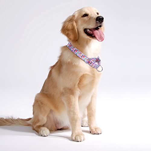 haoyueer Heavy Duty Nylon Adjustable Martingale Dog Collar for Walking Training Boy and Girl Dogs (XL:53-62CM, Blue) - Image 3