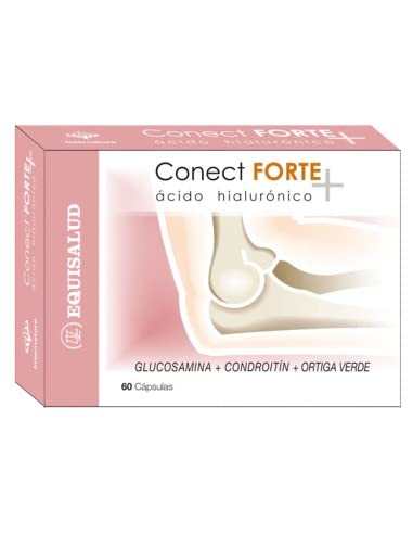 Internature Conect Forte 60 Cap.