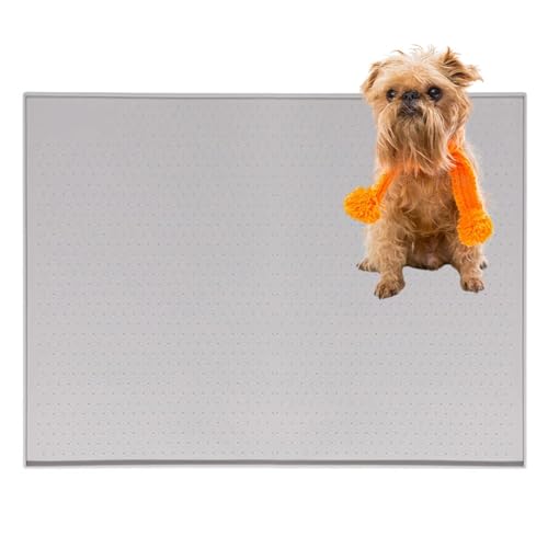 Lifetips ubZOtH gC}`FX^[eA ybggC}bg VR h ~ 􂦂  L V[gh~ g[p t[Oی ybggC}bg VR}bg ΍ gCV[gŒ h