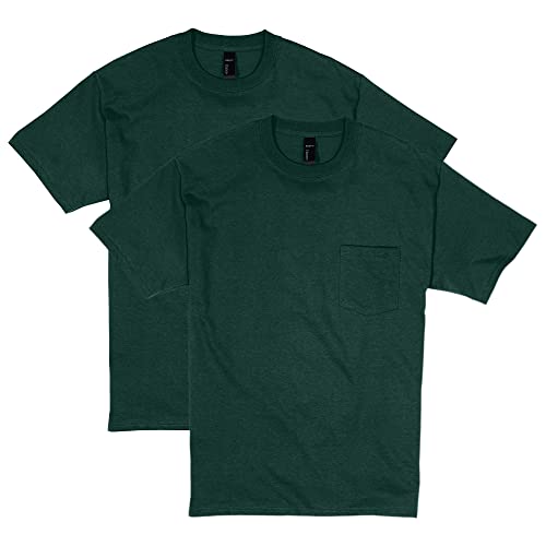Hanes Men's Beefy Short Sleeve Pocket Tee Value Pack (2-Pack), Deep Forest, Large