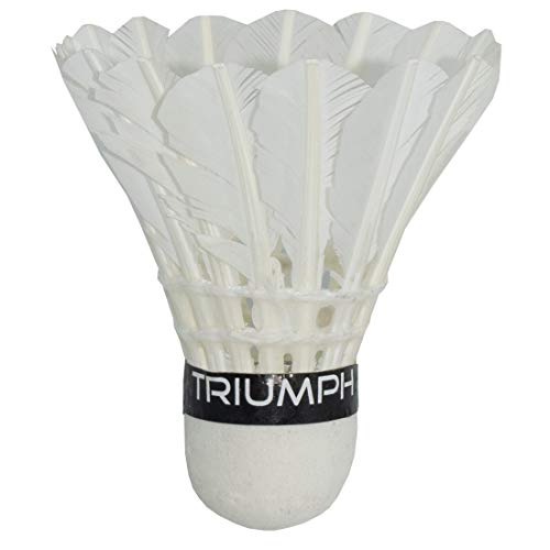Image of TRIUMPH Badminton Racket, Badminton Shuttle Cock, Badminton Racquet Triumph Passion 1 Pc with 10 Pc Triumph Outbreak Feather Shuttlecock & Full Racket Cover