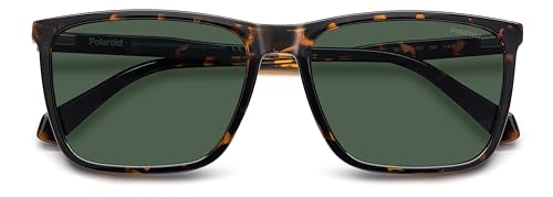 Polaroid PLD 4180/S HAVANA/ GREEN POLARIZED 58/17/145 men Sunglasses4