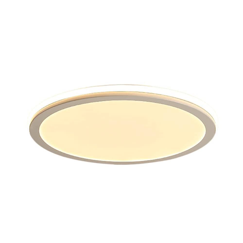 Lustre plafonnier pour balcon et cuisine à lumière blanche froide