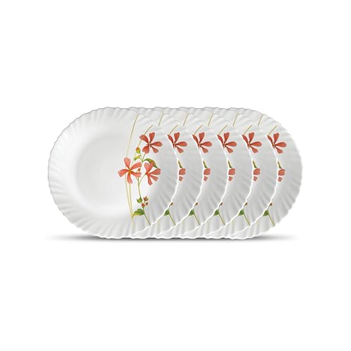 Image of La Opala Novo Collection Opal Glass Crockery | Full Plate Set of 6 | Coral Charm Design | Plates for Dining & Gifting | Microwave Safe | 100% Vegetarian | Extra Strong | Super Light & White