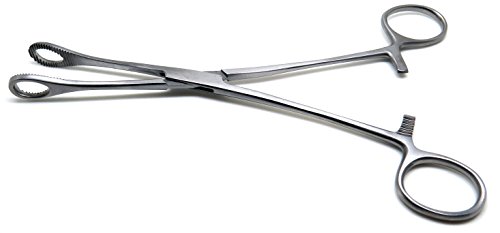 Foerster Sponge Forceps 12" Straight Serrated Surgical Holding Veterinary Instruments #TOP2