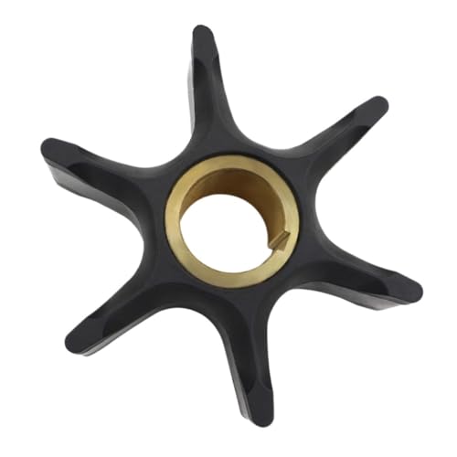 Turbine moteur hors-bord résout les problèmes de surchauffe pompe V4 V6
