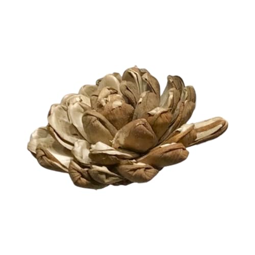 Ramo de 6 tallos de flores de madera de Sola orgánica miniatura 4