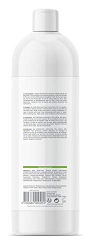 Régulateur de pH LISSA'Ô Paris solution cheveux rêches et cassants après technique 1L