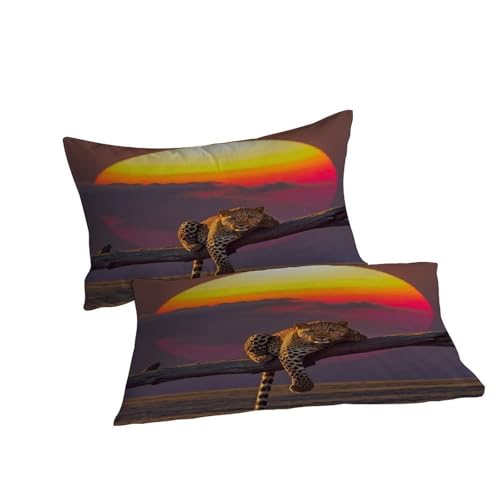 Voiture de course housse de couette en microfibre douce et confortable