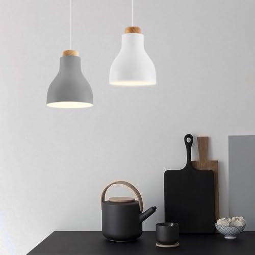 Lámpara colgante de hierro estilo sencillo lámpara de techo decorativa E27 monofocal 2