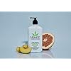 Hempz-Natural-Triple-Moisture-Herbal-Whipped-Body-Cream-with-100-Pure-Hemp-Seed-Oil-for-24-Hour-Hydration-Moisturizing-Vegan-Skin-Lotion-with-Yangu-Oil-Peach-and-Grapefruit-Enriched-Moisturizer HEMPZ Body Lotion - Triple Moisture - Grapefruit and Sparkling Peach - Daily Moisturizing Cream - 17oz