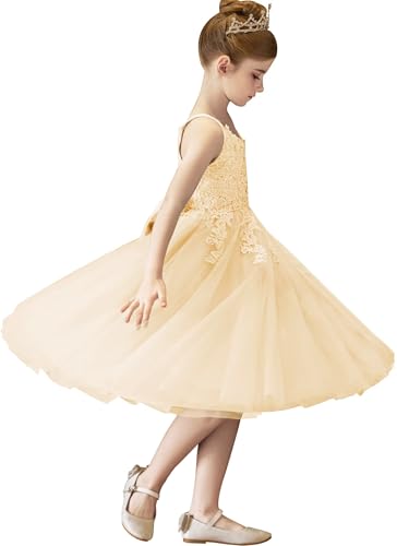 Lace Flower Girl Dresses for Wedding Puffy Tulle First Communion Dress for Girls Party Pageant Gown with Bow