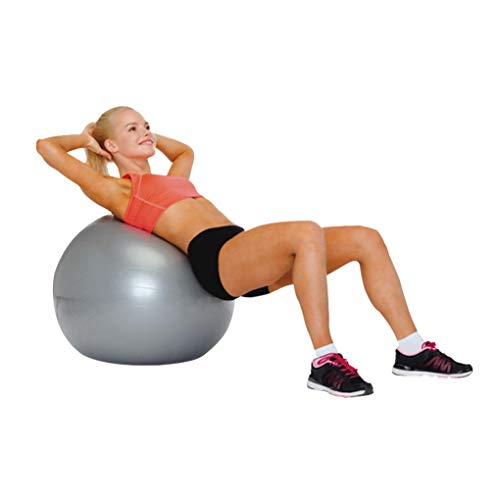 Professional Fisioball FisioPauher, Ortho Pauher, Cinza,
