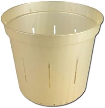 4" Slotted Clear Orchid Pots - 6 Pack (Golden Creme)