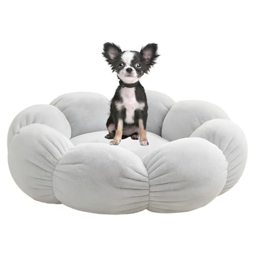 Lifetips OR[g` ` ӂӂybgxbh Lp 􂦂 ~ ~p NbV ʔNΉ ې􂢉 Lpxbh ~p ~ߒ 􂦂Jo[ ᔽNbV iCgO[j