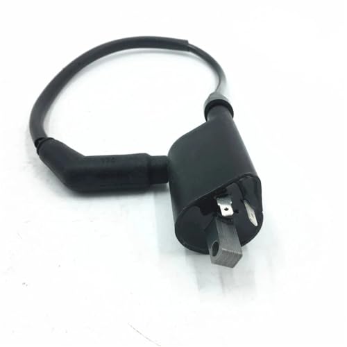 Bobina de encendido y cable para Linhai EFI 2012, soluciona fallos de arranque en tu ATV 3