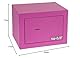 HMF 49216-15 Safe Tresor klein mit Schlüssel, Möbeltresor | 23 x 17 x 17 cm | Pink
