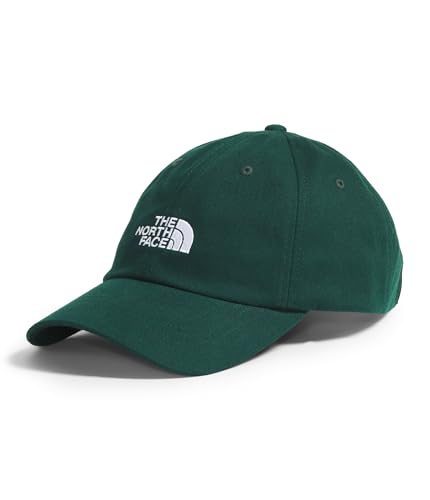 Image of THE NORTH FACE Norm Hat